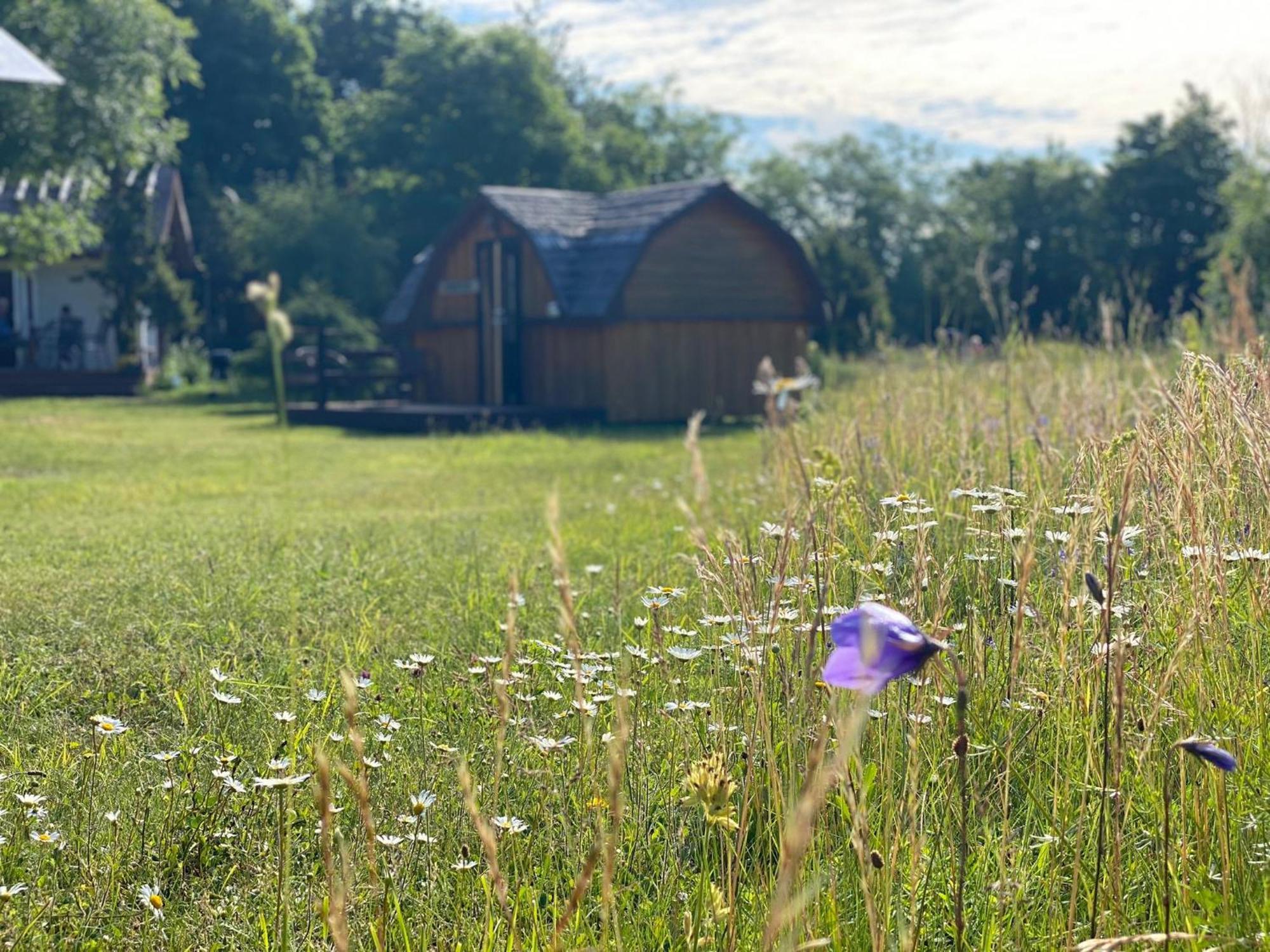Kaespri Farmstay Koguva Zewnętrze zdjęcie