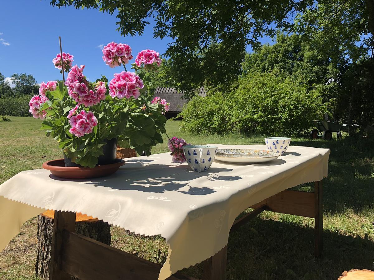 Kaespri Farmstay Koguva Zewnętrze zdjęcie